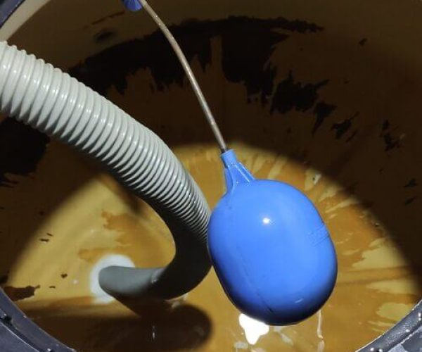 servico3