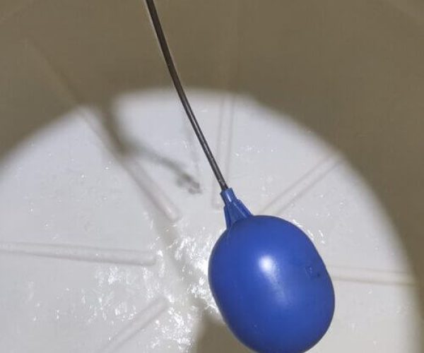servico4